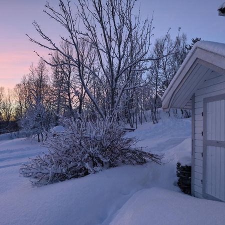 Cabin Magic On Senja, Atmosphere Like A Fairytale Botnhamn Екстериор снимка