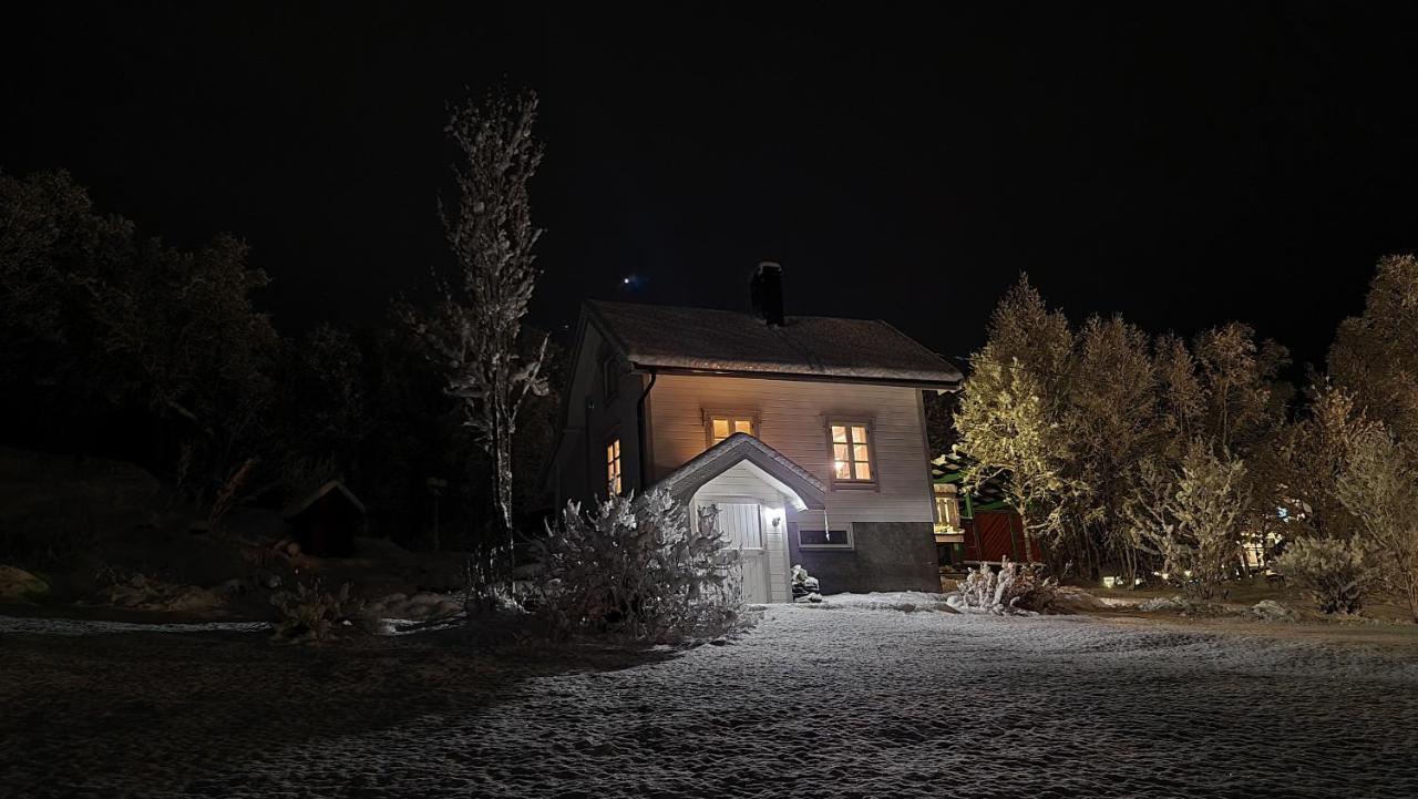 Cabin Magic On Senja, Atmosphere Like A Fairytale Botnhamn Екстериор снимка