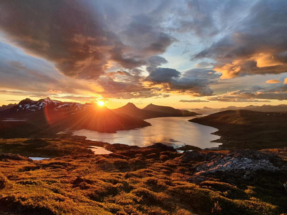 Cabin Magic On Senja, Atmosphere Like A Fairytale Botnhamn Екстериор снимка