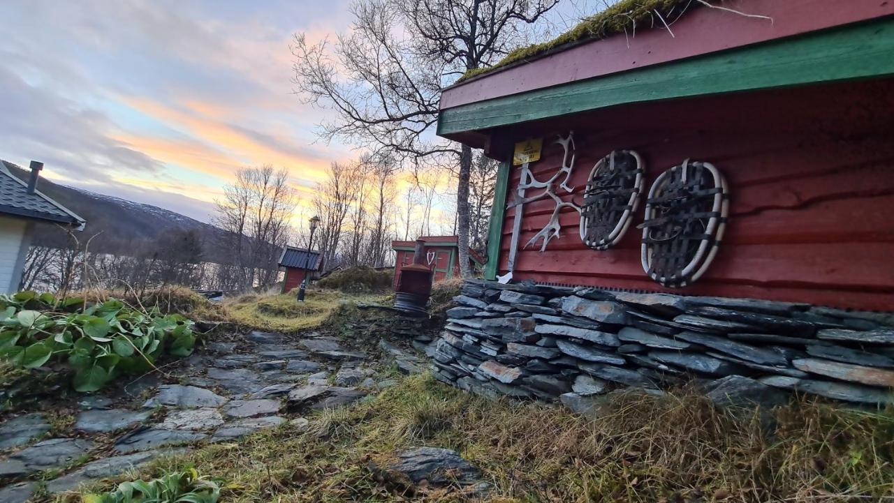 Cabin Magic On Senja, Atmosphere Like A Fairytale Botnhamn Екстериор снимка