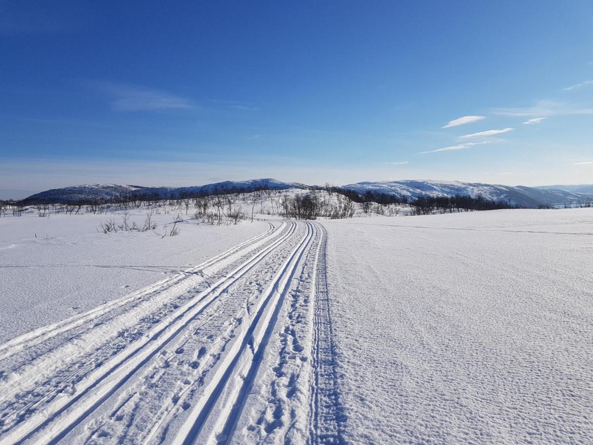 Cabin Magic On Senja, Atmosphere Like A Fairytale Botnhamn Екстериор снимка