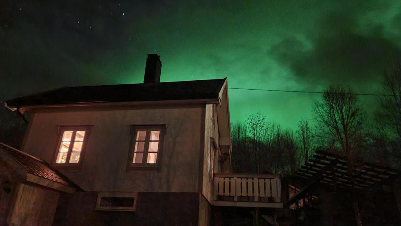 Cabin Magic On Senja, Atmosphere Like A Fairytale Botnhamn Екстериор снимка