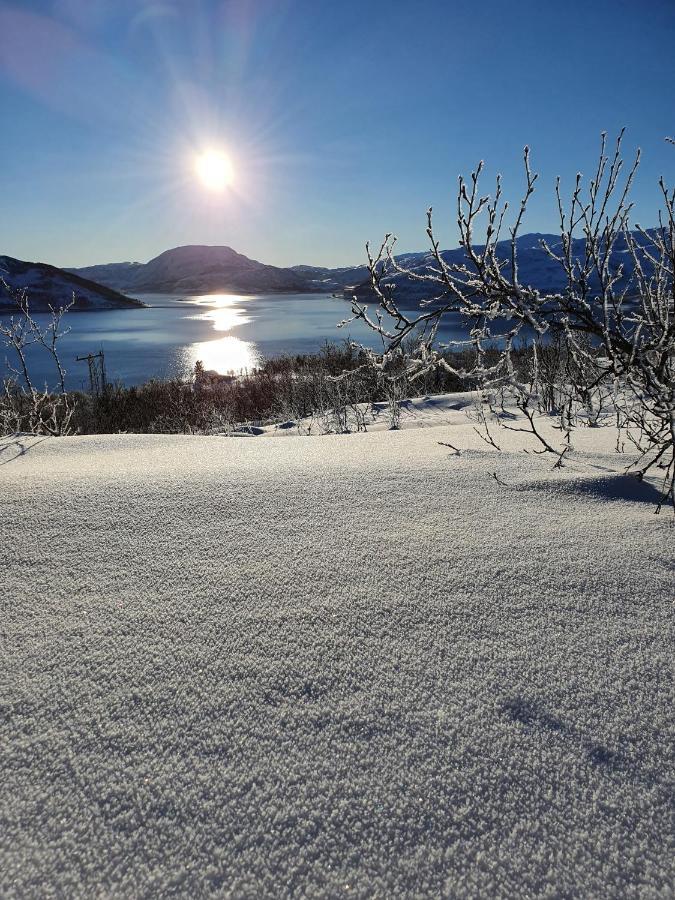 Cabin Magic On Senja, Atmosphere Like A Fairytale Botnhamn Екстериор снимка