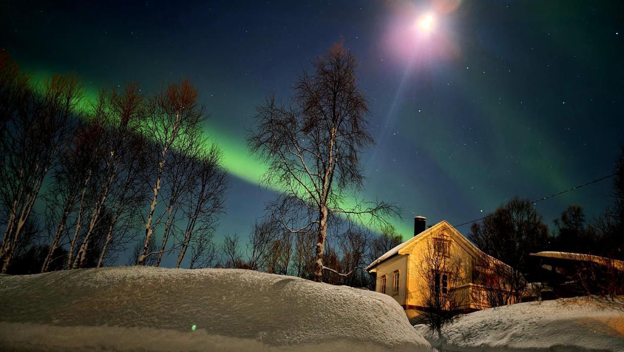Cabin Magic On Senja, Atmosphere Like A Fairytale Botnhamn Екстериор снимка