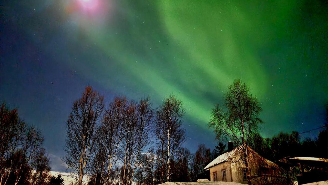 Cabin Magic On Senja, Atmosphere Like A Fairytale Botnhamn Екстериор снимка