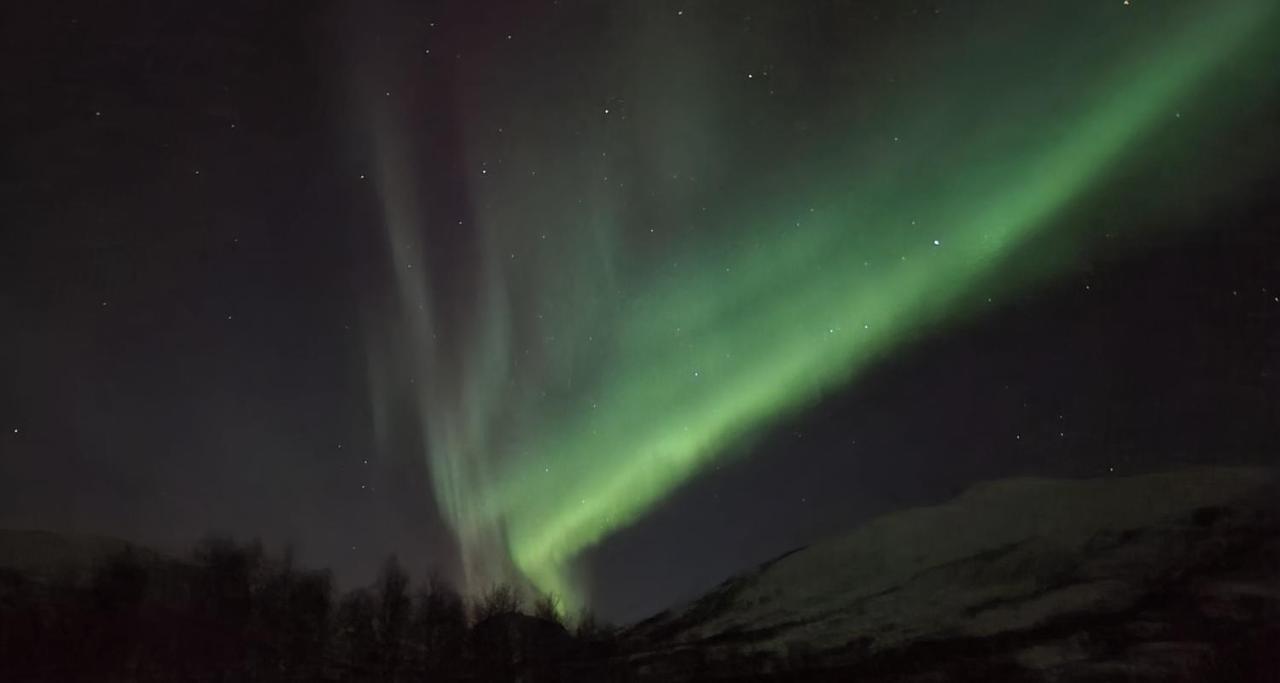 Cabin Magic On Senja, Atmosphere Like A Fairytale Botnhamn Екстериор снимка