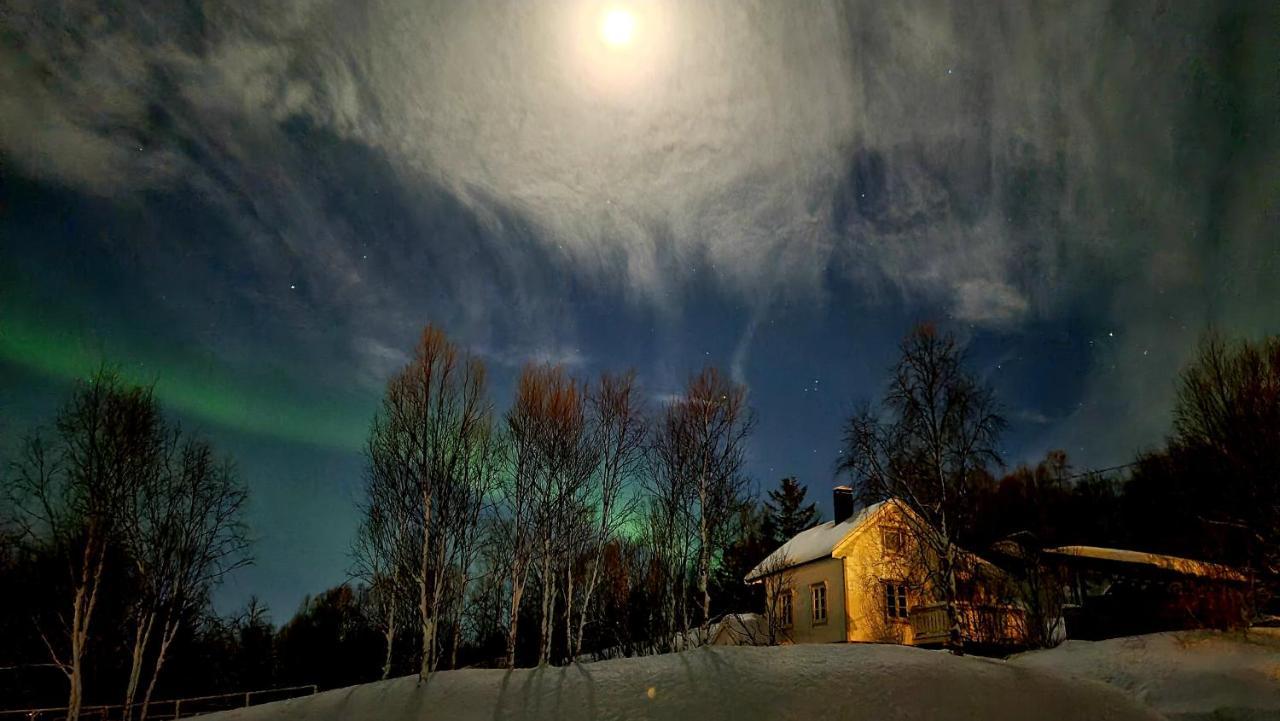 Cabin Magic On Senja, Atmosphere Like A Fairytale Botnhamn Екстериор снимка