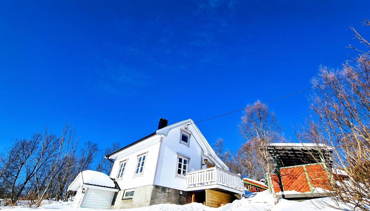 Cabin Magic On Senja, Atmosphere Like A Fairytale Botnhamn Екстериор снимка