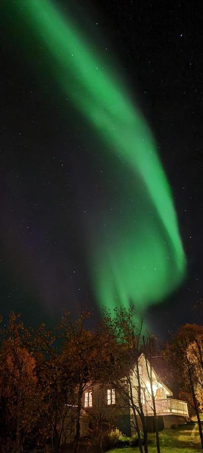 Cabin Magic On Senja, Atmosphere Like A Fairytale Botnhamn Екстериор снимка