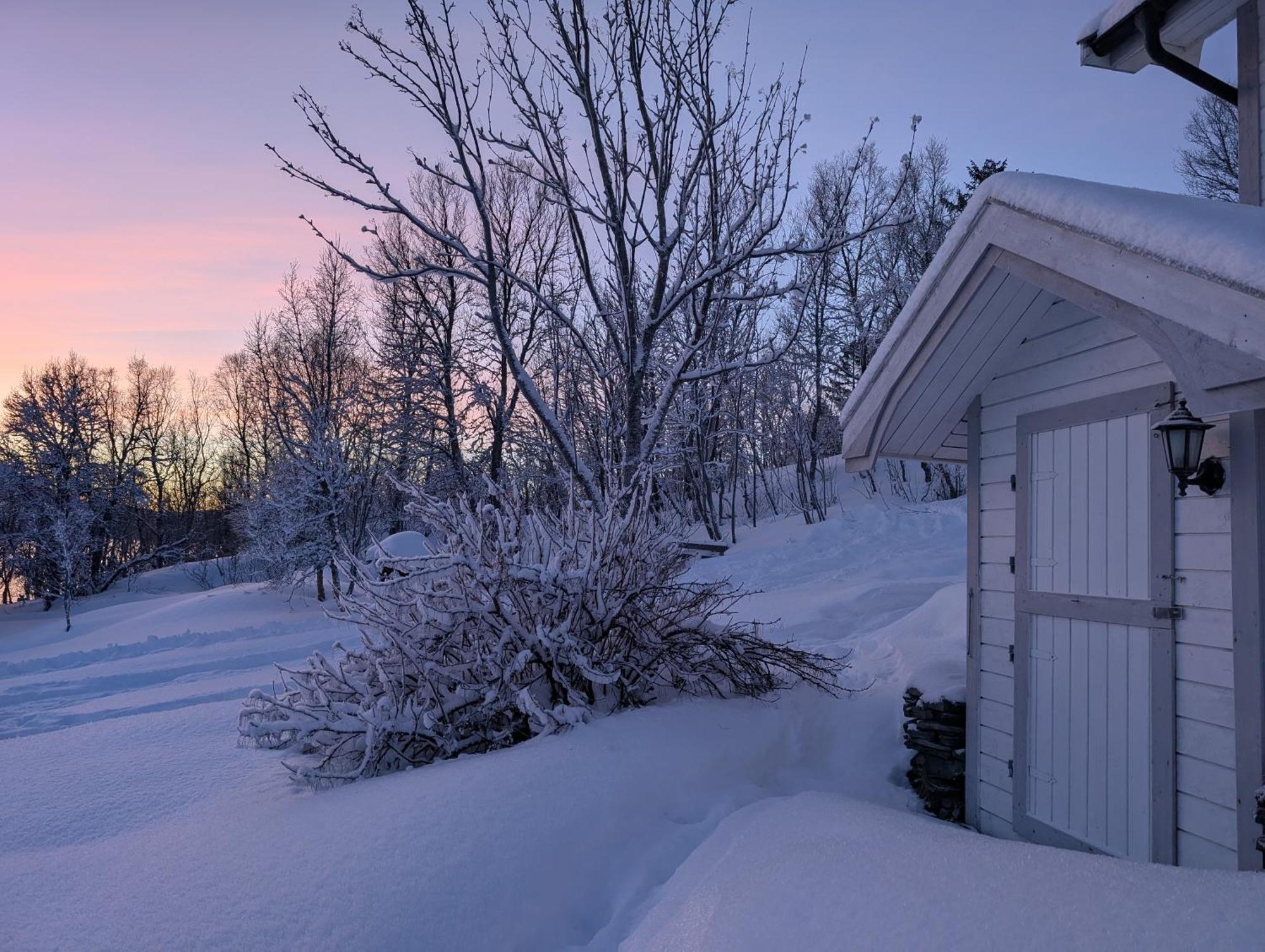 Cabin Magic On Senja, Atmosphere Like A Fairytale Botnhamn Екстериор снимка